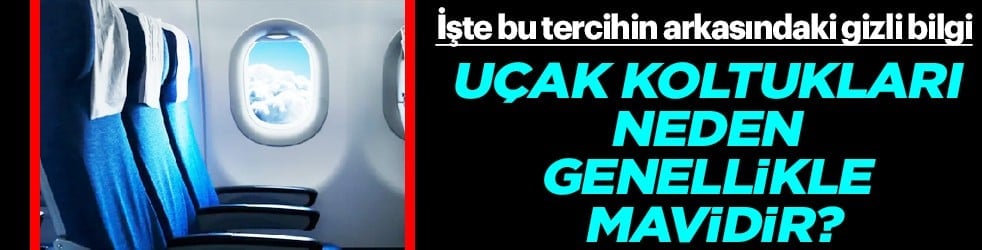 Korku ve konfor bir arada: Uçak koltukları neden genellikle mavidir? 