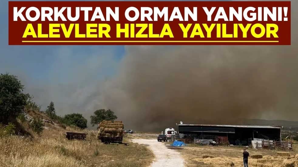 Korkutan orman yangını! Alevler hızla yayılıyor, ekipler sevk edildi