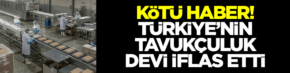 Kötü haber: Türkiye'nin tavukçuluk devi iflas etti