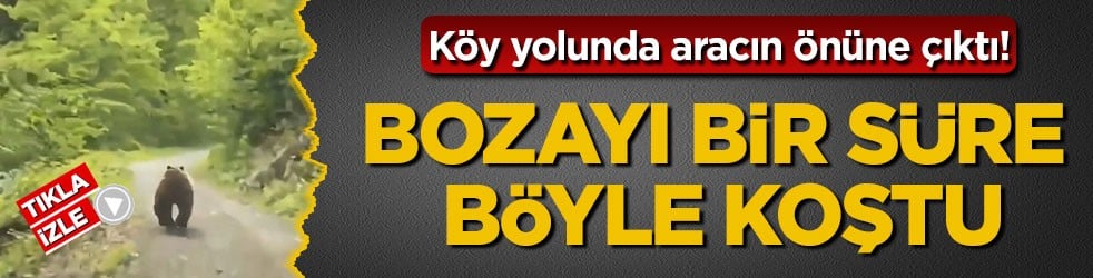 Köy yolunda aracın önüne çıktı! Bozayı bir süre böyle koştu