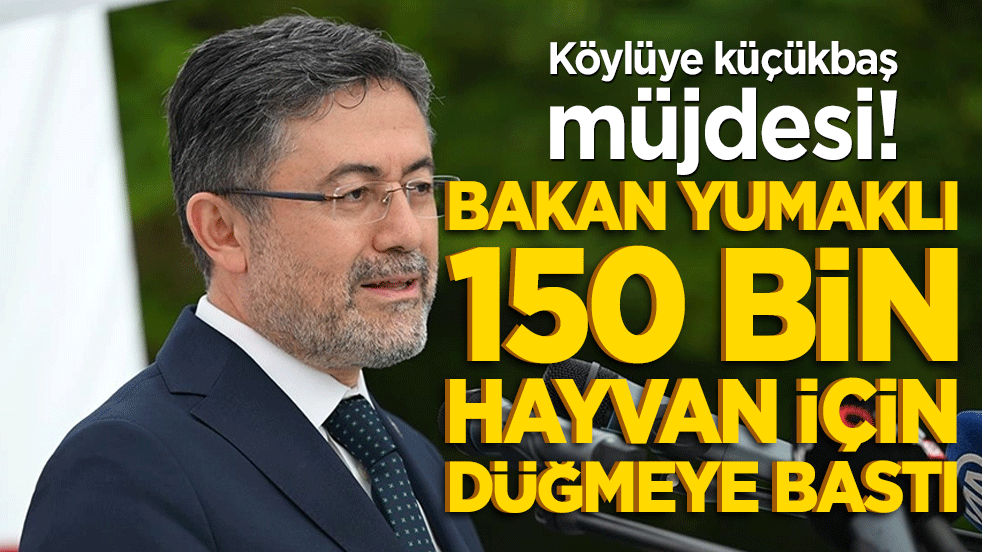Köylüye küçükbaş müjdesi! Bakan Yumaklı 150 bin hayvan için düğmeye bastı