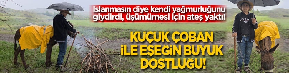 Küçük çoban ile eşeğin büyük dostluğu! Eşeği ıslanmasın diye yağmurluğunu giydirdi, ateş yakıp ısıttı