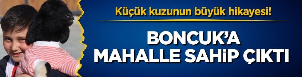 Küçük kuzunun büyük hikayesi! Boncuk’a mahalle sahip çıktı 