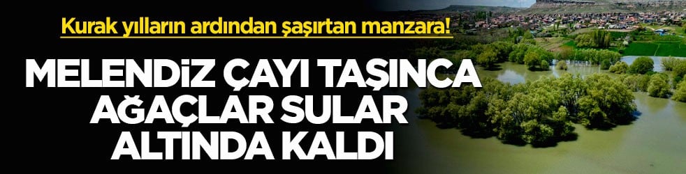 Kurak yılların ardından şaşırtan manzara! Melendiz Çayı taşınca ağaçlar sular altında kaldı
