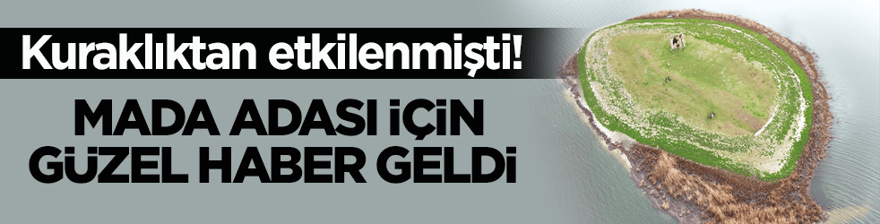 Kuraklıktan etkilenmişti! Mada Adası için güzel haber geldi 