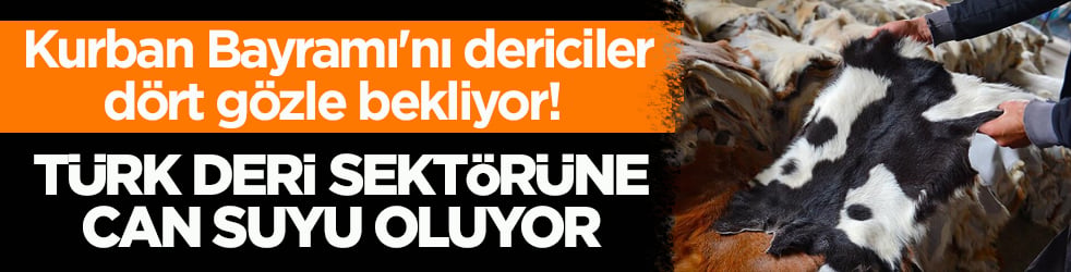 Kurban Bayramı'nı dericiler dört gözle bekliyor! Türk deri sektörüne can suyu oluyor