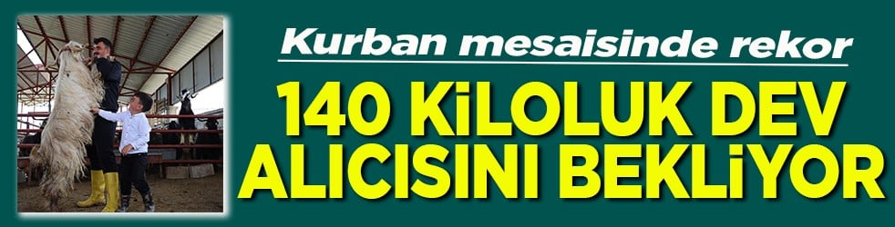 Kurban mesaisinde rekor 140 kiloluk dev alıcısını bekliyor