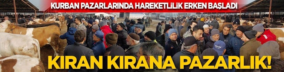 Kurban pazarında hareketlilik erken başladı: Kıran kırana pazarlık!