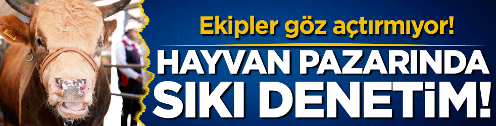 Kurban pazarından sıkı denetim! Ekipler göz açtırmıyor!