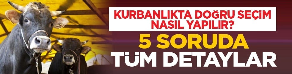 Kurbanlıkta doğru seçim nasıl yapılır? 5 soruda tüm detaylar