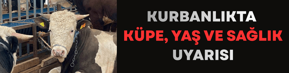 Kurbanlıkta küpe, yaş ve sağlık uyarısı