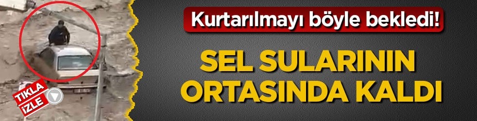 Kurtarılmayı böyle bekledi! Sel sularının ortasında kaldı