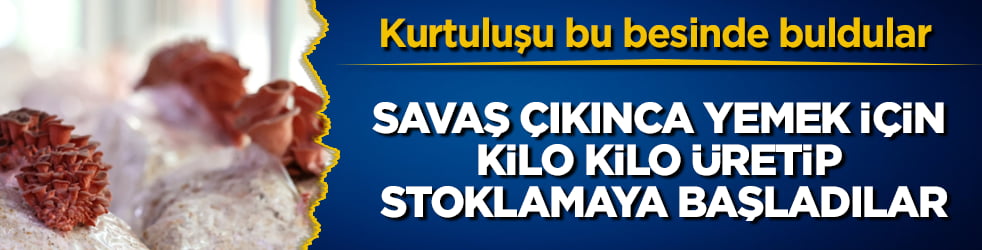 Kurtuluşu bu besinde buldular! Savaş çıkınca yemek için kilo kilo üretip stoklamaya başladılar