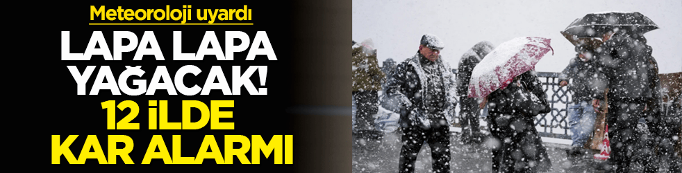Lapa lapa yağacak! Meteoroloji uyardı: 12 ilde kar alarmı