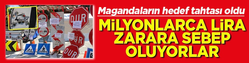 Magandaların hedef tahtası oldu Milyonlarca lira zarara sebep oluyorlar