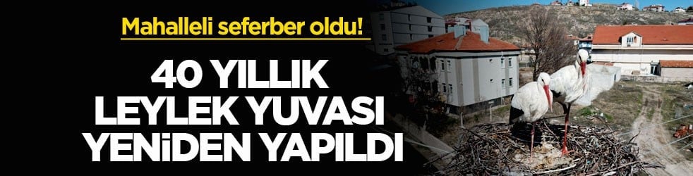 Mahalleli seferber oldu! 40 yıllık leylek yuvası yeniden yapıldı