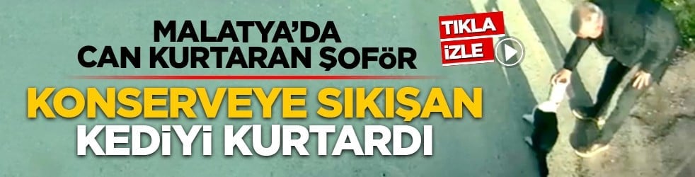 Malatya’da can kurtaran şoför: Konserveye sıkışan kediyi kurtardı