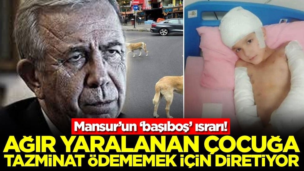 Mansur’un ‘başıboş’ ısrarı! Ağır yaralanan çocuğa tazminat ödememek için diretiyor