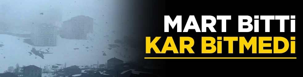 Mart sonunda kar etkili oldu