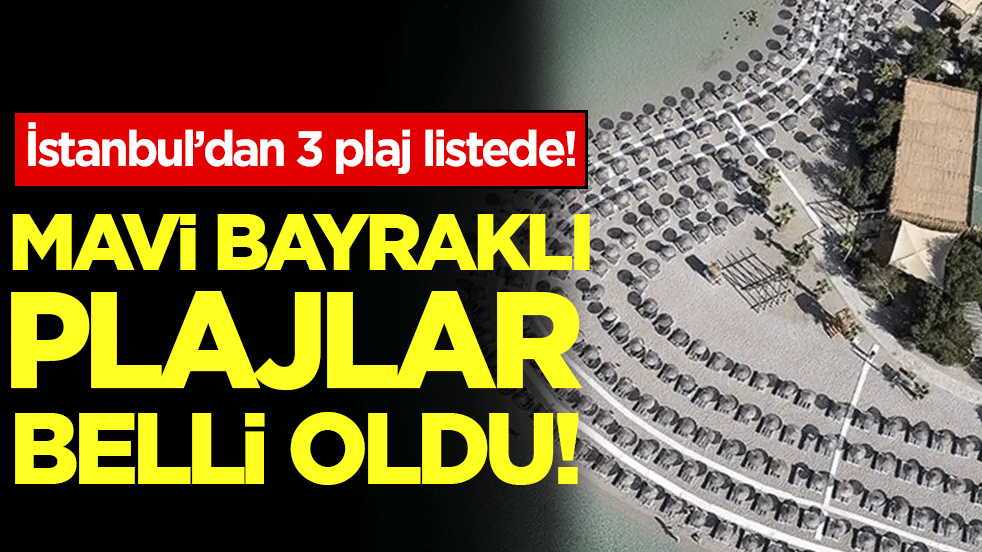Mavi bayraklı plajlar belli oldu! İstanbul'dan 3 plaj listeye girdi!