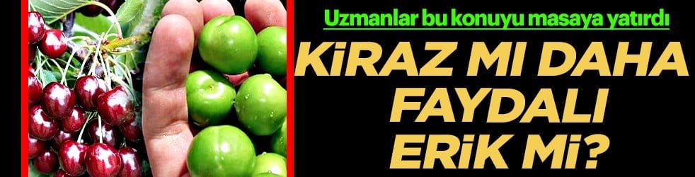 Mayhoş tadı ile... Diyetisyenler ikiye bölündü: Kiraz mı daha faydalı, erik mi?