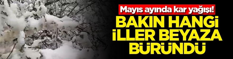 Mayıs ayında kar yağışı! Bakın hangi iller beyaza büründü