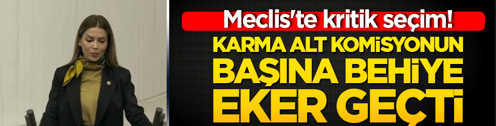 Meclis'te kritik seçim! Karma Alt Komisyonun başına Behiye Eker geçti