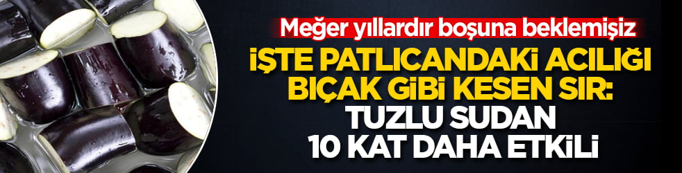 Meğer yıllardır boşuna beklemişiz! İşte patlıcandaki acılığı bıçak gibi kesen sır: Tuzlu sudan 10 kat daha etkili
