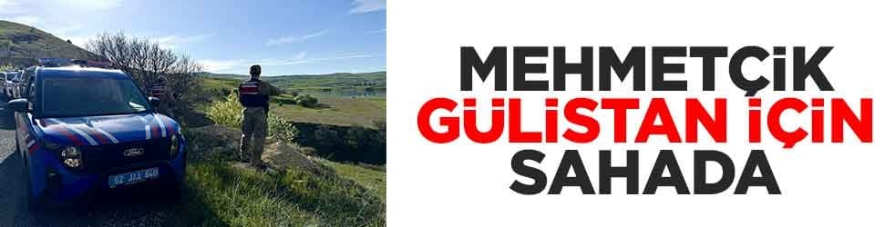 Mehmetçik Gülistan Doku için sahada