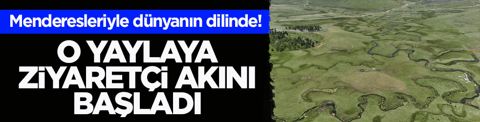 Menderesleriyle dünyanın dilinde! Perşembe Yaylası’na ziyaretçi akını başladı 