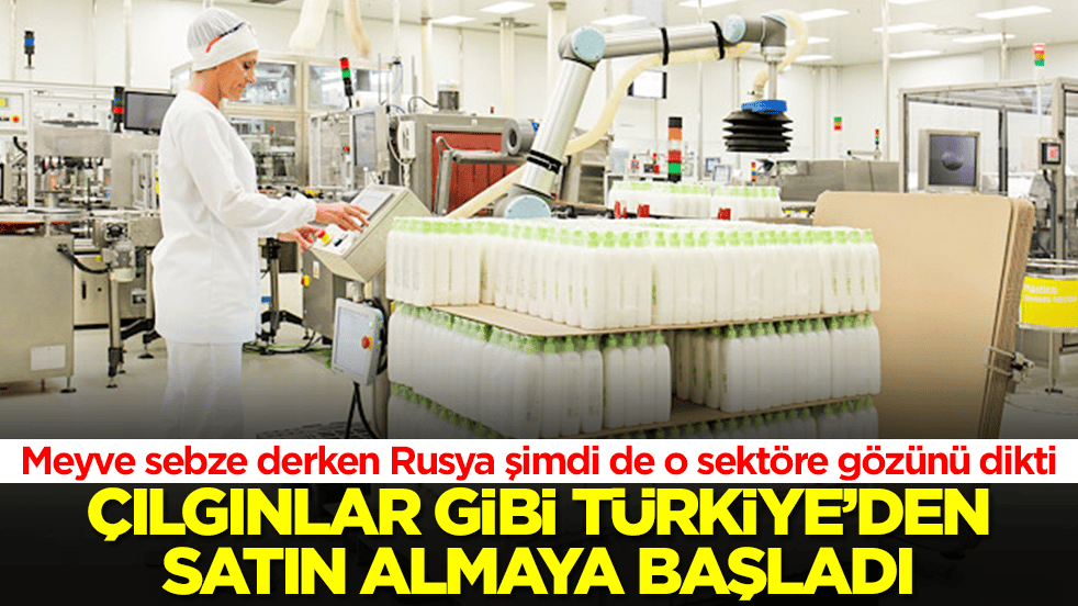 Meyve sebze derken Rusya şimdi de o sektöre gözünü dikti: Çılgınlar gibi Türkiye'den almaya başladı