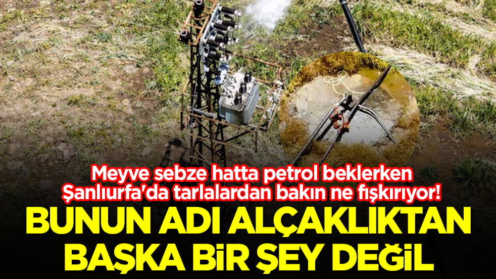 Meyve sebze hatta petrol beklerken Şanlıurfa'da tarlalardan bakın ne fışkırıyor: Bunun adı alçaklıktan başka bir şey değil
