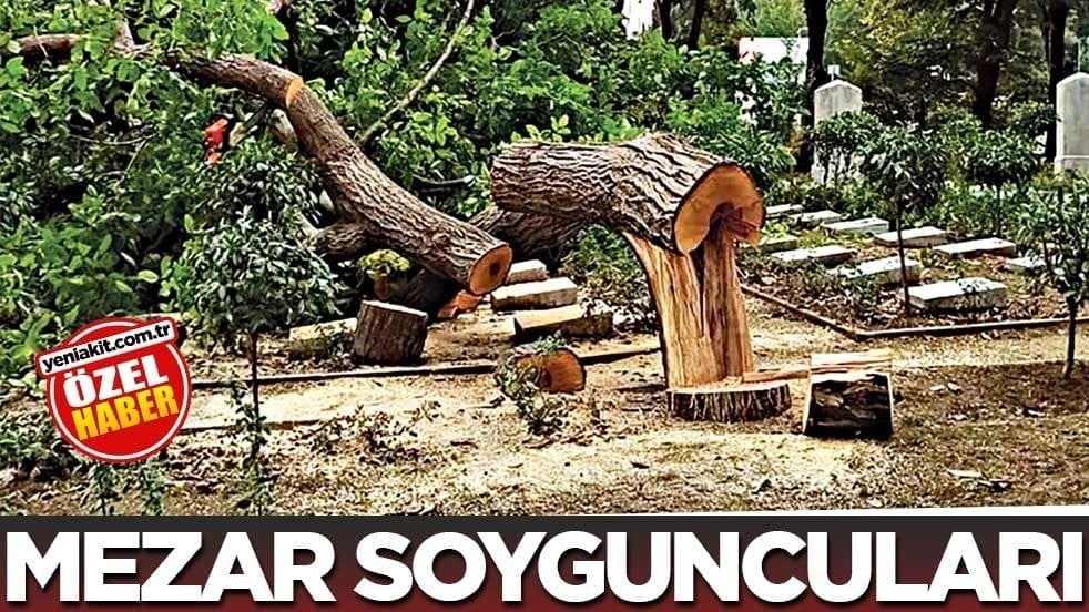 Mezar soyguncuları