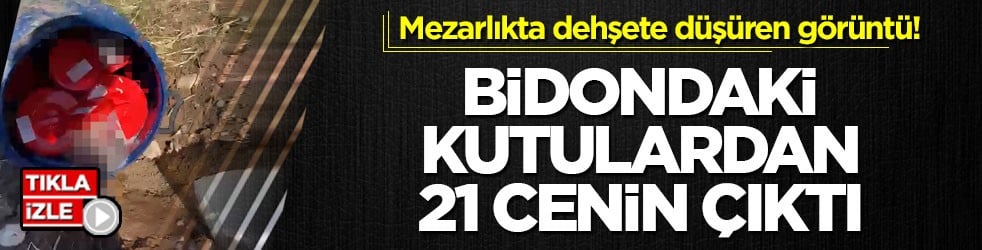 Mezarlıkta dehşete düşüren görüntü! Bidondaki kutulardan 21 cenin çıktı