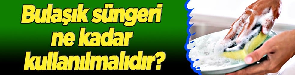 Mikroorganizmalar ve bakteri kolonisi... Bulaşık süngeri ne kadar kullanılmalıdır?