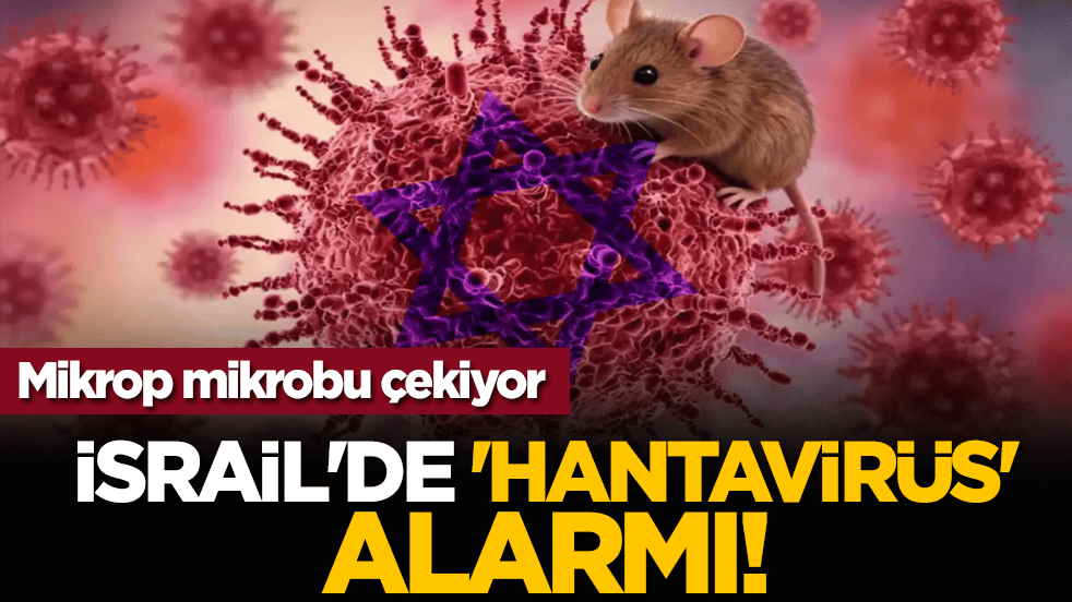 Mikrop mikrobu çekiyor: İsrail'de 'hantavirüs' paniği
