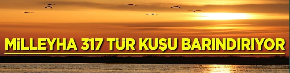 Milleyha 317 tür kuşu barındırıyor