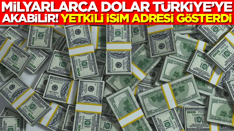 Milyarlarca dolar Türkiye'ye akabilir: Yetkili isim adresi gösterdi