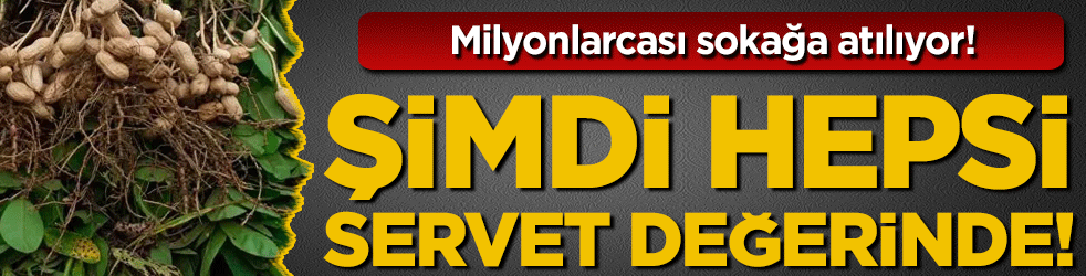 Milyonlarcası sokağa atılıyor: Şimdi servet değerinde!