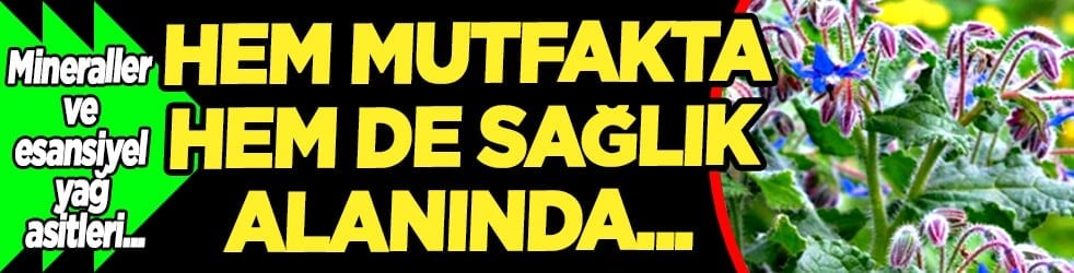 Mineraller ve esansiyel yağ asitleri ve daha neler neler... Hodan otu nedir?