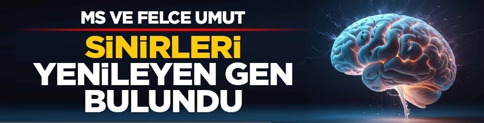 MS ve felce umut: Sinirleri yenileyen gen bulundu