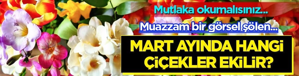 Muazzam bir görsel şölene hazır mısınız? Mart ayında hangi çiçekler ekilir?