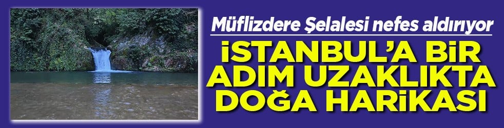 Müflizdere Şelalesi nefes aldırıyor İstanbul'a bir adım uzaklıkta doğa harikası