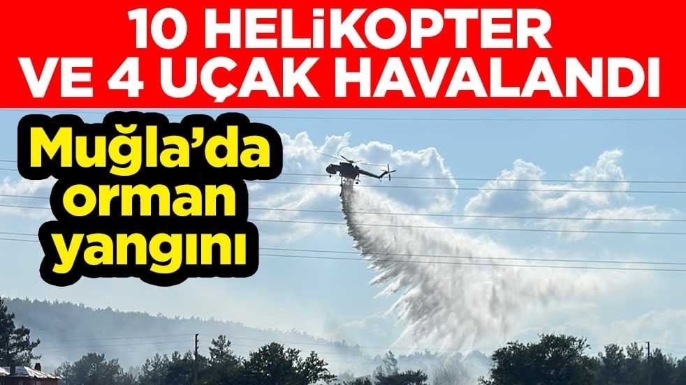 Muğla'da orman yangını! 10 helikopter ve 4 uçak havalandı