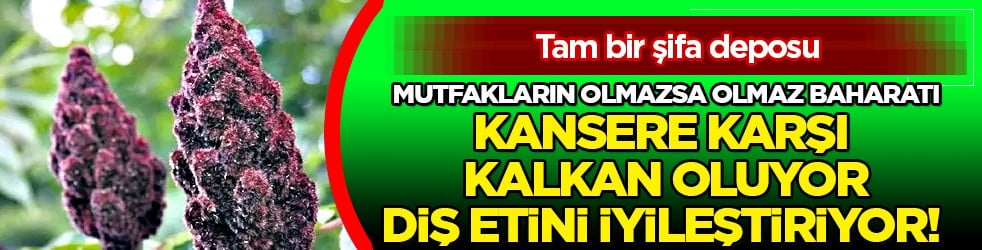 Mümkün olan en çok tüketimle... Kansere karşı kalkan oluyor, diş etini iyileştiriyor! 