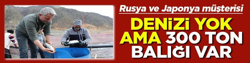 Müşterisi Rusya ve Japonya Denizi yok ama 300 ton balığı var