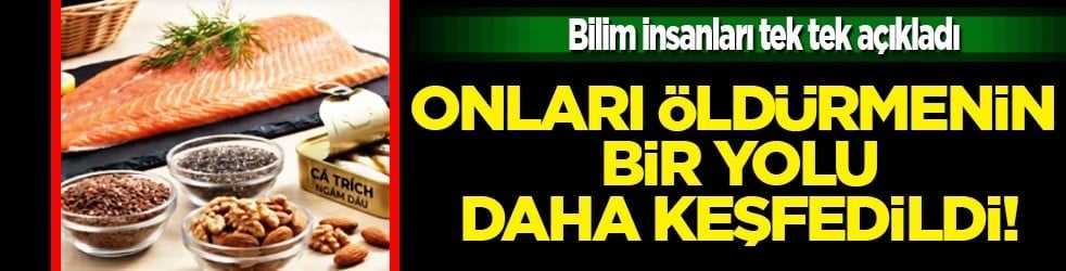 Mutlaka deneyin: Omega-3 yağ asitlerini kullanarak kanser hücrelerinin yapısını yeniden düzenlemek mümkün