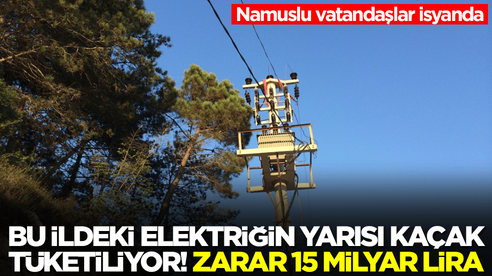 Namuslu vatandaşlar isyanda: Bu ildeki elektriğin yarısı kaçak tüketiliyor! Zarar 15 milyar lira
