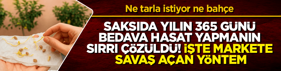 Ne tarla istiyor ne bahçe: Saksıda yılın 365 günü bedava hasat yapmanın sırrı çözüldü! İşte markete savaş açan yöntem