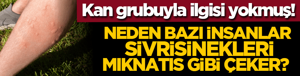 Neden bazı insanlar sivrisinekleri mıknatıs gibi çeker? Kan grubuyla ilgisi yokmuş!